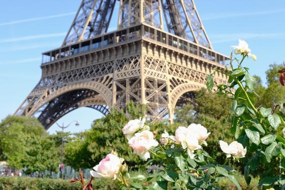 Vue tour Eiffel