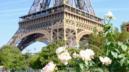 Photo tour Eiffel et fleurs